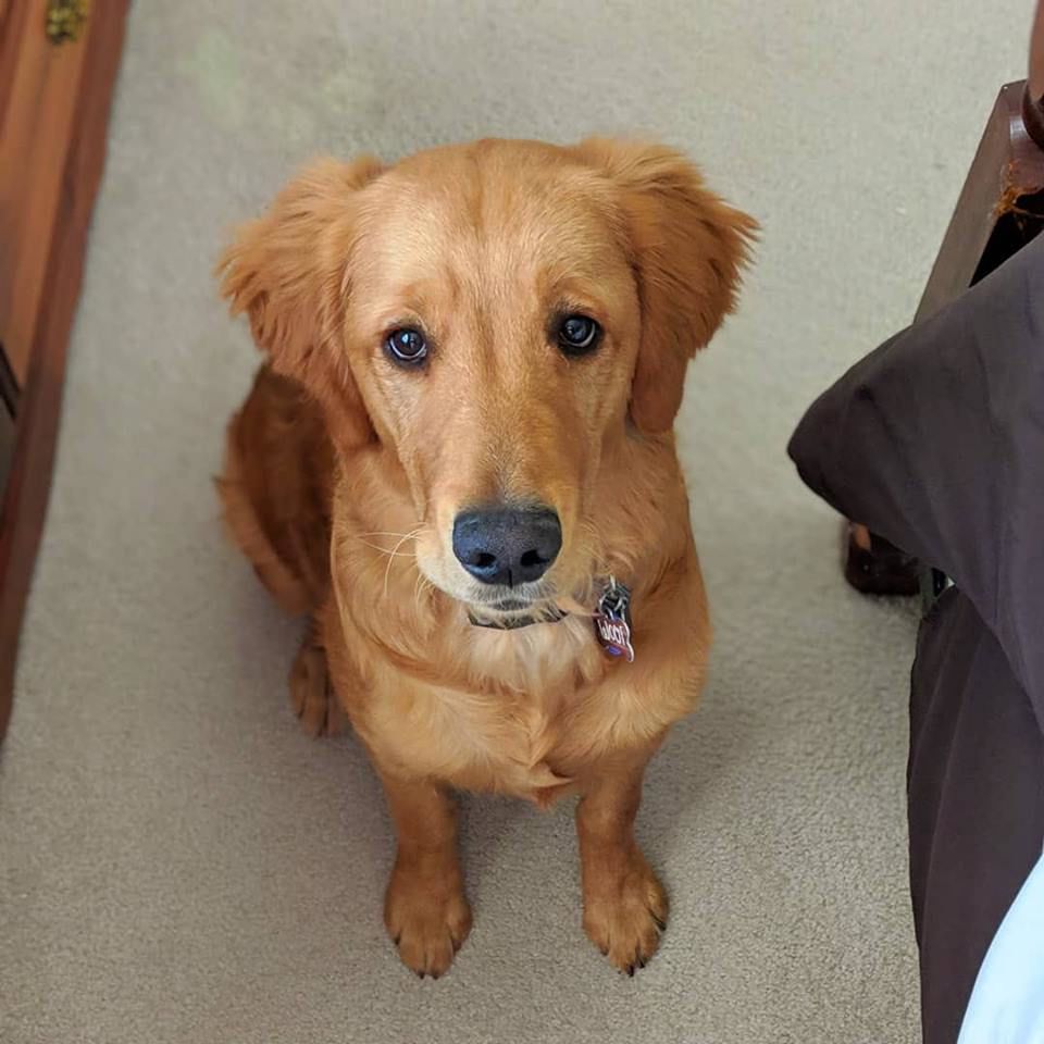 Archie